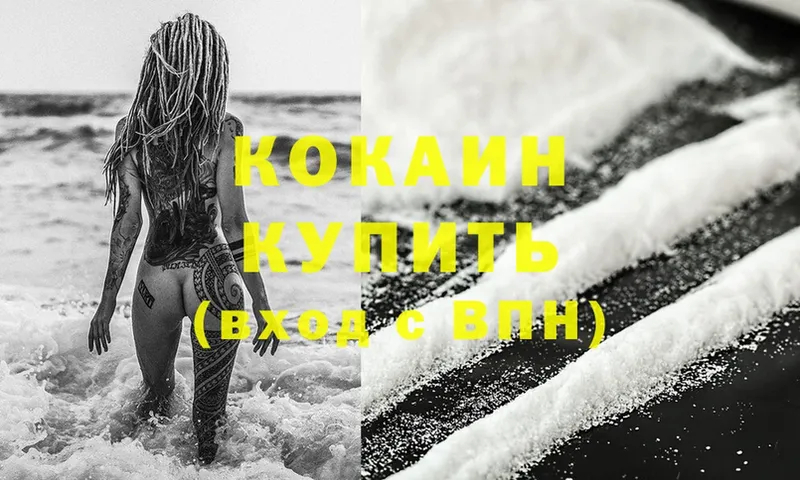 Кокаин Fish Scale  купить   Ельня 