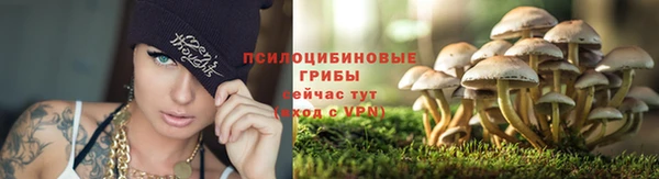 трава Уссурийск
