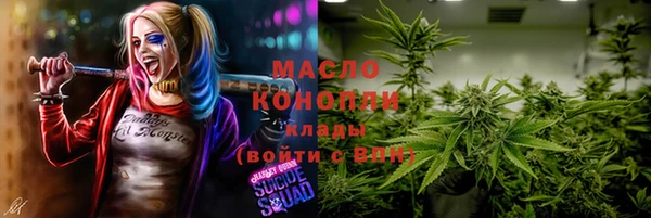 метадон Богданович